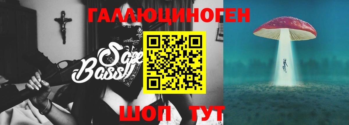 Галлюциногенные грибы Psilocybe Гусев